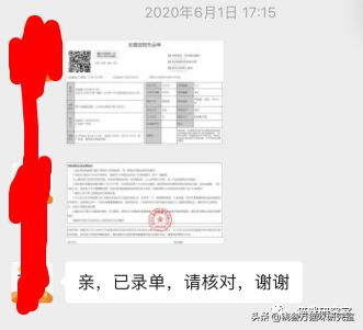 活体猫一般怎么运输