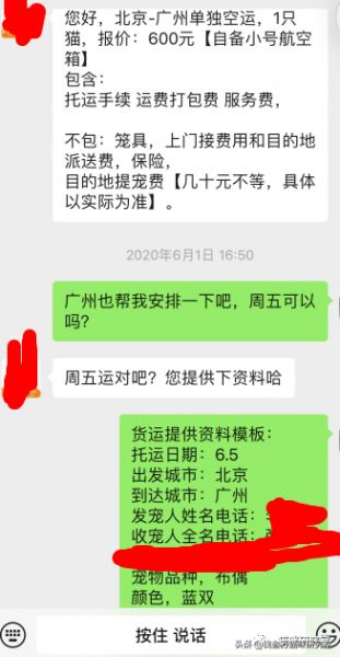 活体猫一般怎么运输