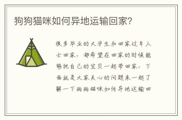 狗狗猫咪如何异地运输回家？