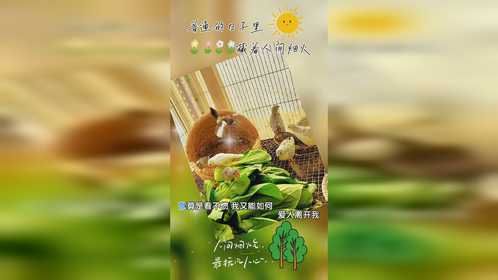 你还有游戏人间的心态么？