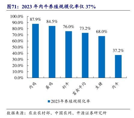 2023年肉牛养殖规模化率仅37% - 2024年11月 - 行业研究数据