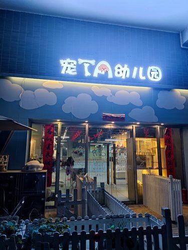 宠TA幼儿园
