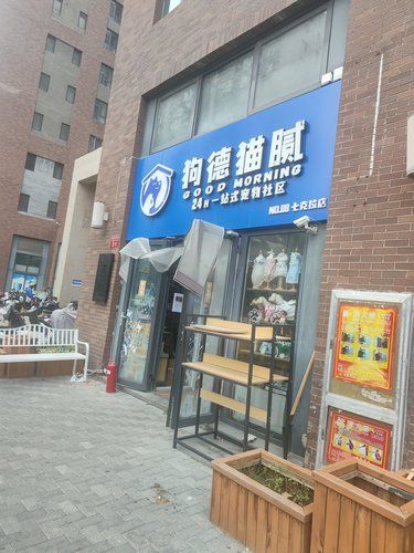 整洁店铺背后话狗德猫腻