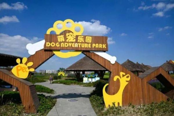 成都品牌萌宠乐园公司，打造独特的宠物天堂