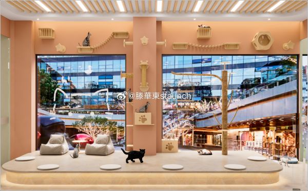 广州品牌萌宠乐园设计，打造城市中的宠物天堂