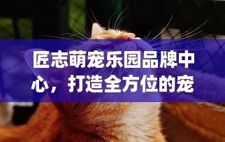 匠志萌宠乐园品牌中心，打造全方位的宠物生态体验