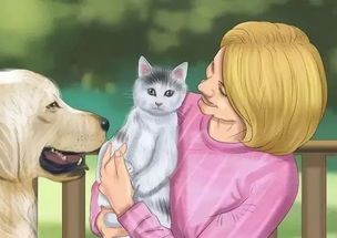 宠物打架叫不停？揭秘狗狗猫咪斗殴真相！