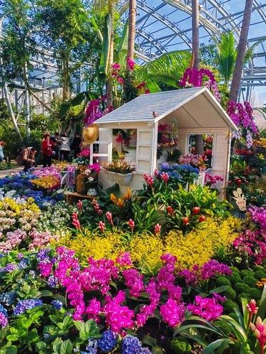 我在国家植物园邂逅了今年春天的第一场花展