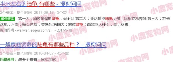 半陆龟都有哪些品种