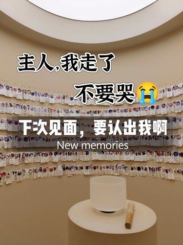 北京朝阳，一家充满爱的宠物纪念馆
