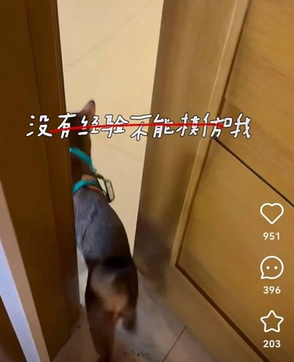 内容图片