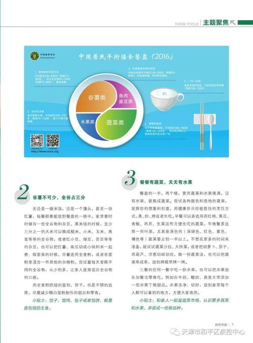 宠物鼠饮食攻略,营养搭配指南