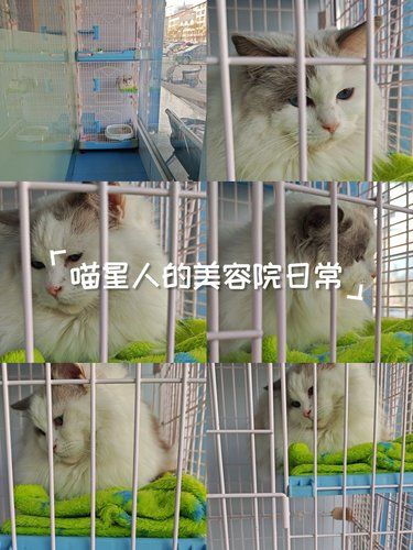  打疫苗