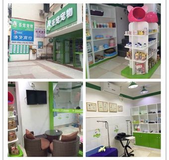 圣宠宠物（四川巴中宠物店）