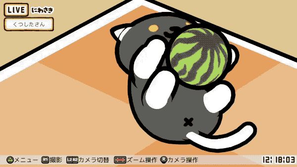 猫咪后院无限鱼干破解版