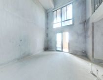 招商卡达洋房一梯两户楼中楼视野好看海