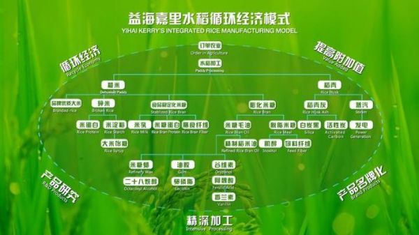 7000万的红龙鱼（7000万的红龙鱼图片） 龙鱼百科
