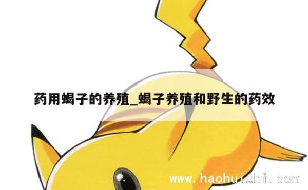 药用蝎子的养殖_蝎子养殖和野生的药效 第1张