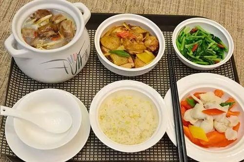 产后狗狗营养月子餐食谱指南