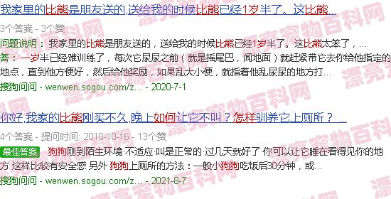 比熊狗狗自制食谱大全 - 一岁多比熊狗狗怎么教-第2张图片-漂亮宠物百科网