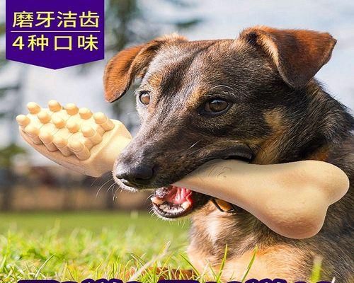 自制狗狗大骨棒，让宠物健康成长（以狗狗猪棒骨为原材料的DIY食谱，为爱宠定制饮食）