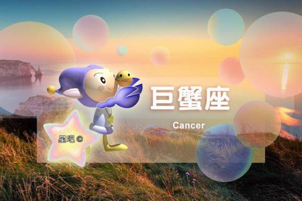 室内萌宠乐园，让爱宠与你共享快乐时光