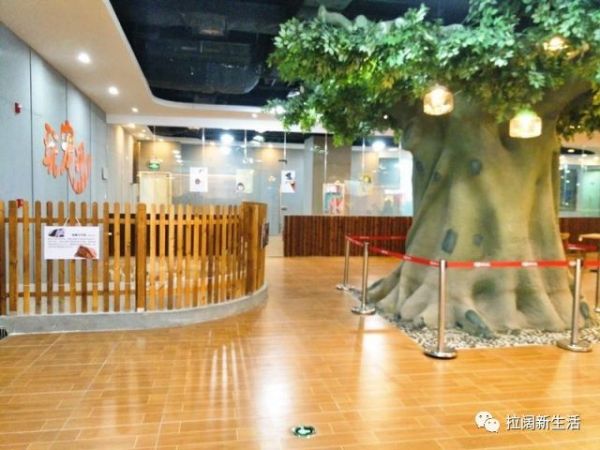 萌宠乐园室内南郊，乐趣无穷的室内宠物娱乐空间