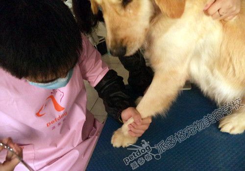 搜狗问问
