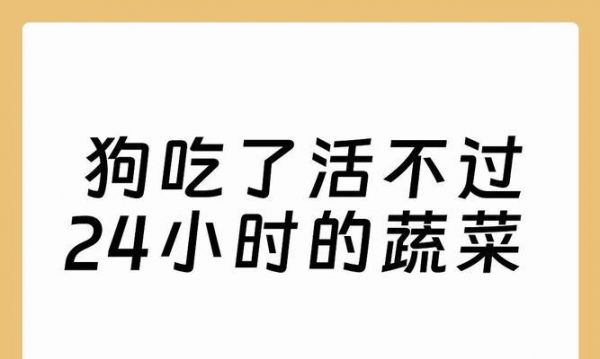 狗狗的健康之道（宠物狗的饮食搭配及蔬菜推荐）