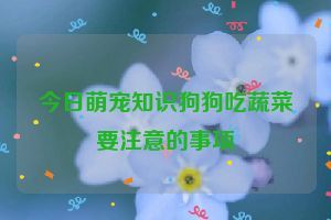 今日萌宠知识狗狗吃蔬菜要注意的事项