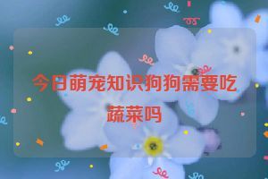 今日萌宠知识狗狗需要吃蔬菜吗