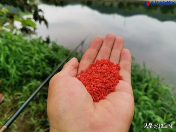 怎么钓鱼方法与技巧野钓钓鱼起杆时机，钓鱼的饵料怎么调配才不会散?