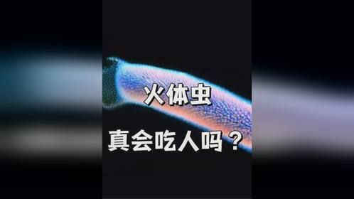这个“大塑料”，你可千万别钻进去！它由上千条小虫子组成！