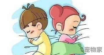 抱着猪睡觉是什么样的体验
