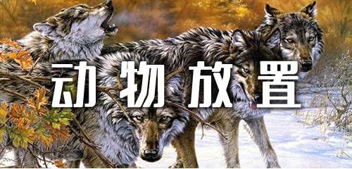 动物放置手游合集