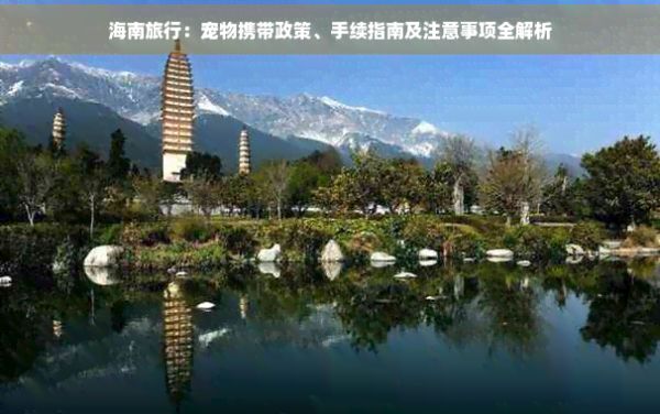 海南旅行：宠物携带政策、手续指南及注意事项全解析