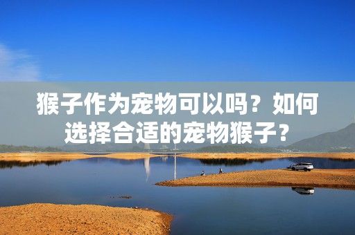 猴子作为宠物可以吗？如何选择合适的宠物猴子？-第1张图片