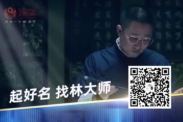 洋气不俗气的狗名