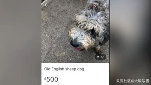 500