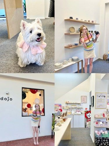 厦门探店|来dojo看快乐小狗啦