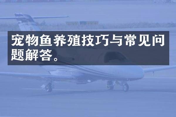 宠物鱼养殖技巧与常见问题解答。