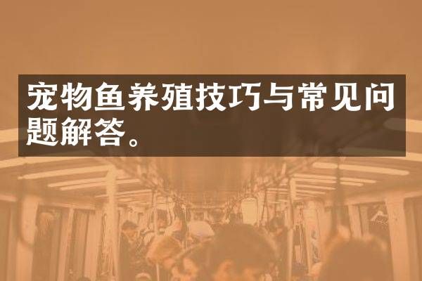 宠物鱼养殖技巧与常见问题解答。