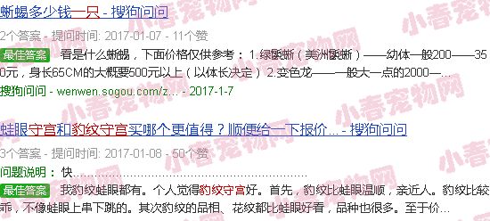 豹纹守宫蜥几元一只