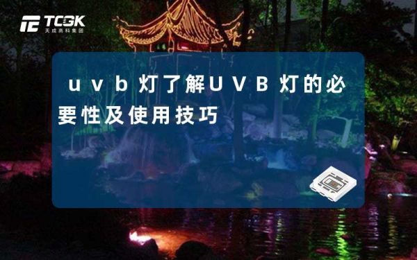 uvb灯了解UVB灯的必要性及使用技巧