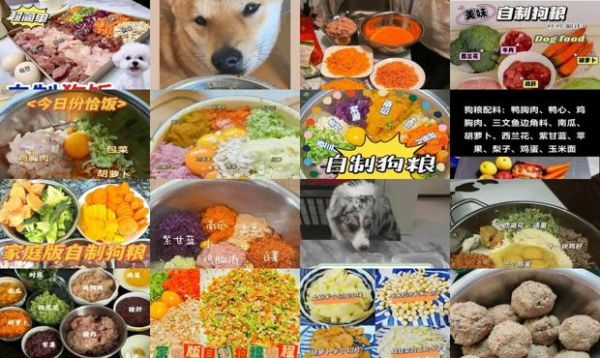 狗粮制作过程视频