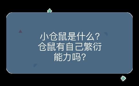 小仓鼠是什么?仓鼠有自己繁衍能力吗?