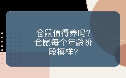 仓鼠值得养吗?仓鼠每个年龄阶段模样?