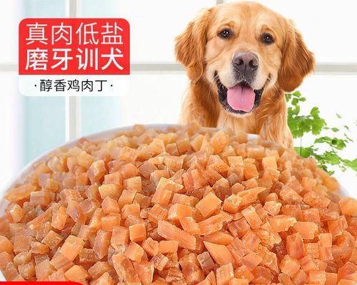 大金毛犬的食谱（探讨大金毛犬能吃什么）
