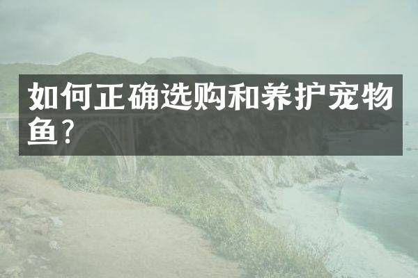 如何正确选购和养护宠物鱼？