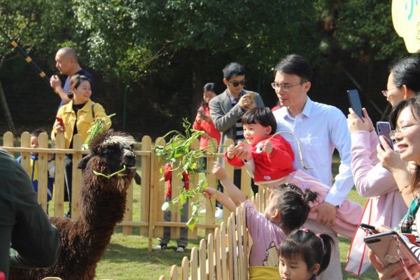 呦呦动物园